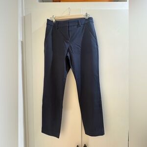 Express Columnist Stretch Ankle Pants
